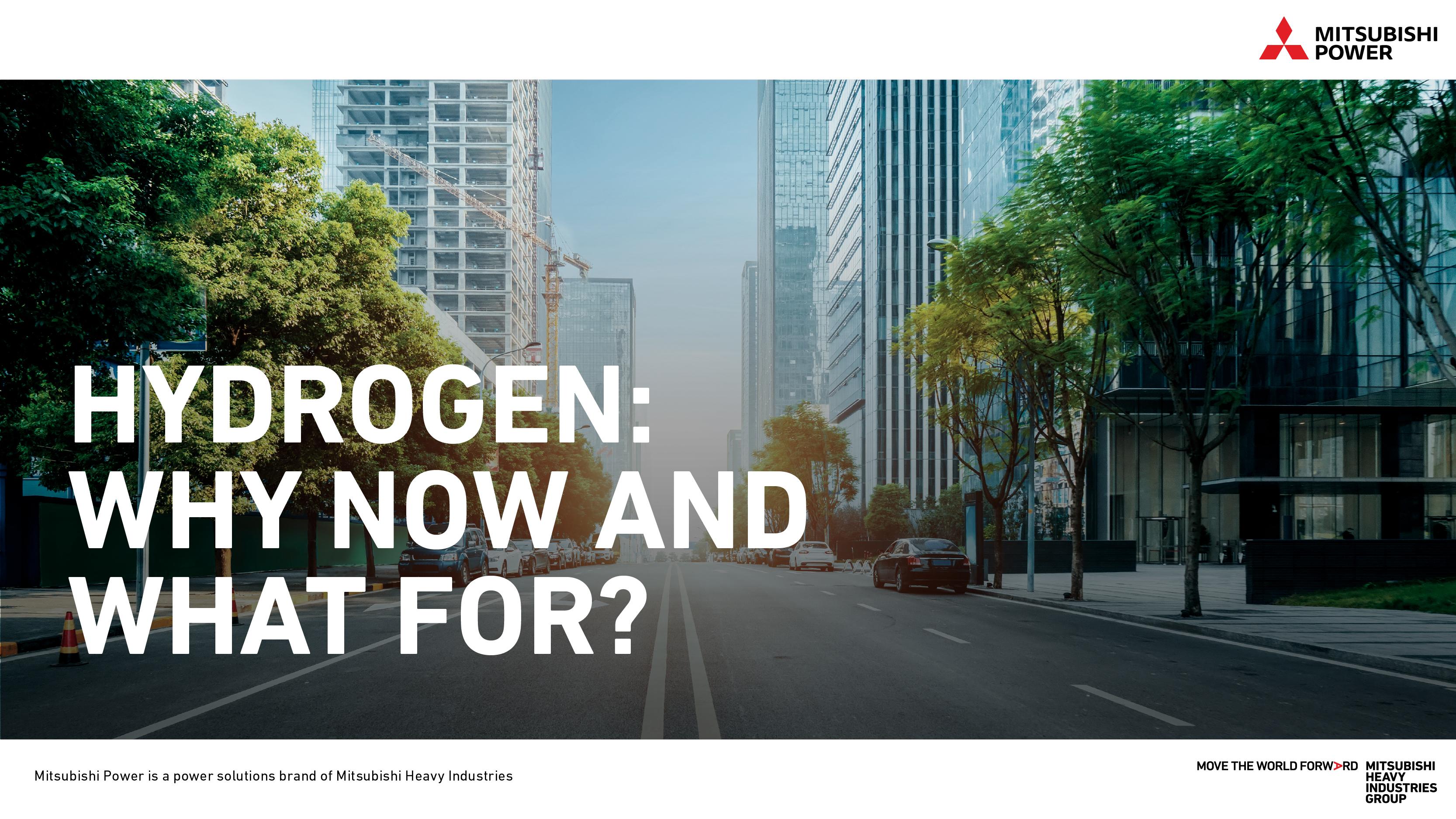 Hydrogen: Why Now and For What? Guidebook Cover Page