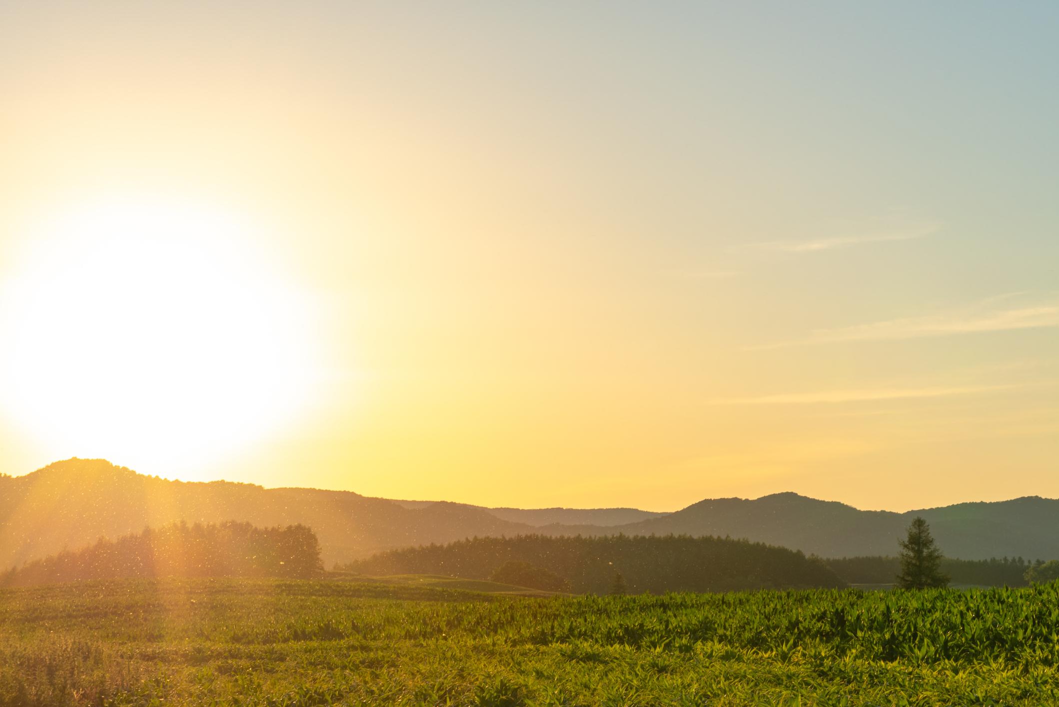 Landscape view with sunrise